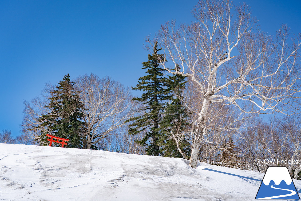 札幌国際スキー場｜ゴールデンウイーク初日も全コース滑走可能OK！！真っ白な雪と澄んだ青空 ＝ 絶好の春スキー＆スノーボード日和♪そして、日本海の彼方に、なんと利尻富士が見えた？！